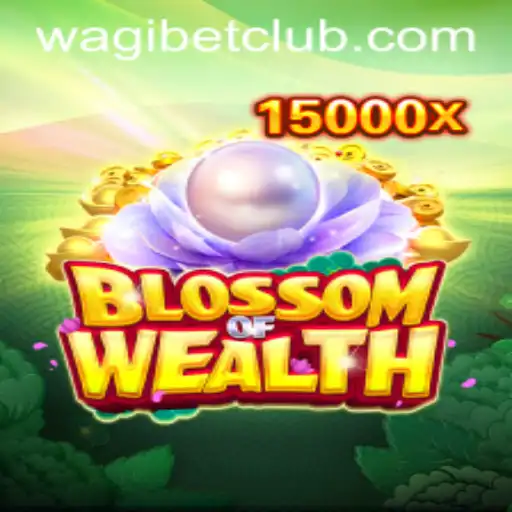 WAGIBET Casino Withdrawal