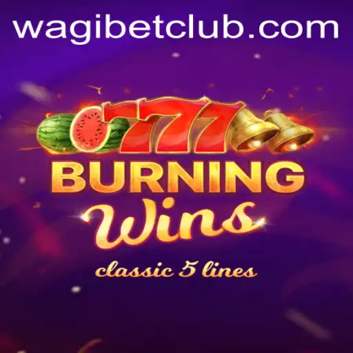WAGIBET Casino Withdrawal