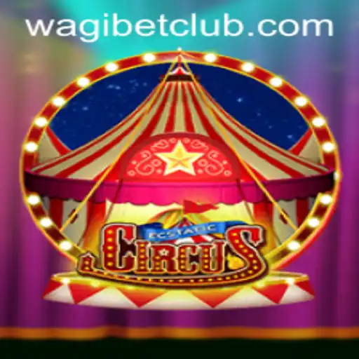 WAGIBET Casino Withdrawal