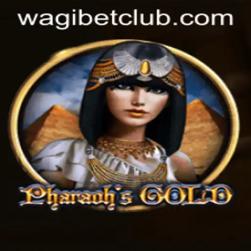 WAGIBET Casino App